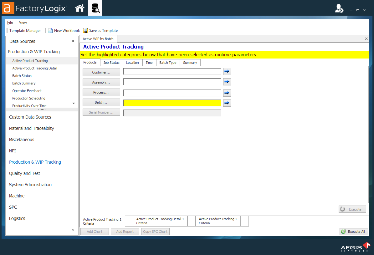 Template runtime parameters