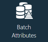 Batch Attributes button in NPI Templates and Standards